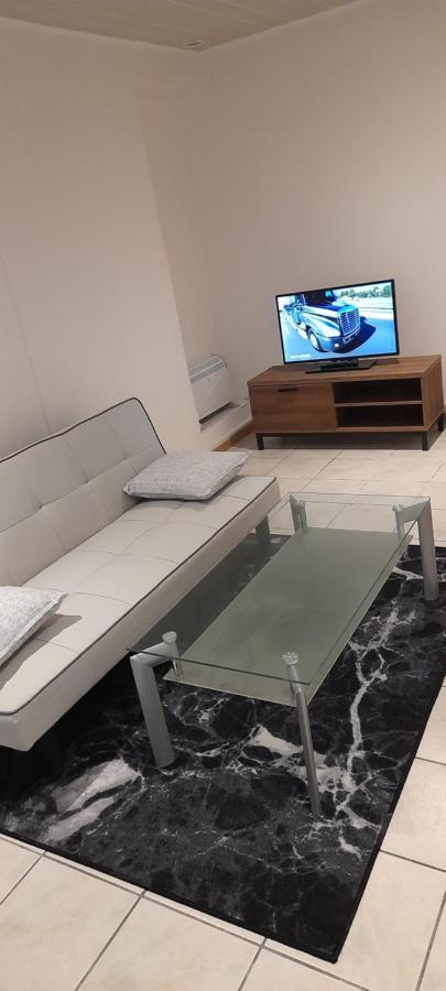Tres Belle Appartement F1 Bis Perpignan Eksteriør billede